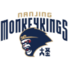  南京头排苏酒U21logo