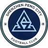 深圳新鹏城logo