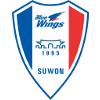 水原三星logo