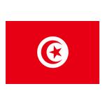  突尼斯logo