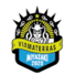  维亚马特拉斯宫崎女足logo